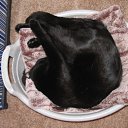 ���� ������, ������, 63 ���� - ��������� 27 ������� 2010 � ������ ���� ����-�����