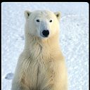 ���� ��������, ��������������, 49 ��� - ��������� 7 �������� 2012