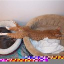 ���� ����. ��������� �� ��!, ������, 72 ���� - ��������� 28 ����� 2011 � ������ �������� ����