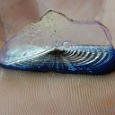  , --, 55  -  17  2013    