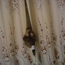 ���� ���������, ������, 55 ��� - ��������� 13 ���� 2013 � ������ ���� ����������