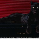 ���� ������, ������, 47 ��� - ��������� 3 �������� 2011 � ������ �������