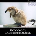  , , 43  -  12  2009   .....
