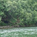 ���� �����, �������������-����������, 51 ��� - ��������� 4 ���� 2012 � ������ ���� ����������