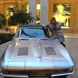 �����, ���������, 48 ���