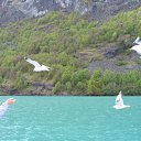 ���� ������, ������, 63 ���� - ��������� 16 ���� 2010 � ������ ���������, ������, ���