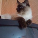 ���� ����, �������� - ��������� 22 �������� 2012 � ������ ����� �������)))�