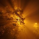 ����...... �� ������� ���� ����������