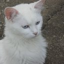 ���� Pavel, �����, 59 ��� - ��������� 18 ������ 2012 � ������ ���� ����������