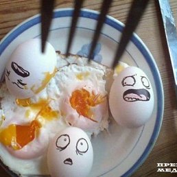 ���� ���������, ��������, 27 ��� - ��������� 17 ������ 2009