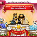  , , 28  -  11  2010   PetLove