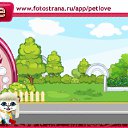  , -, 42  -  27  2010   PetLove