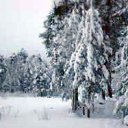 ���� ���������, ���������� - ��������� 10 ������ 2010 � ������ �*** ������� ***�