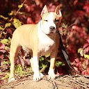 ���� �����, ����, 39 ��� - ��������� 25 ������ 2012 � ������ �������