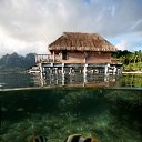 ���� ��� �����, �����������, 50 ��� - ��������� 1 ������ 2010 � ������ �����-����