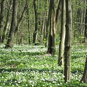 ���� ������, �����������, 55 ��� - ��������� 13 ��� 2011 � ������ ������