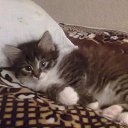 ���� ������, �����, 44 ���� - ��������� 25 ������� 2012