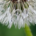 ���� ���������, ���������, 59 ��� - ��������� 28 ���� 2011 � ������ ��������