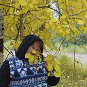 ���� �����, ������, 44 ���� - ��������� 12 ����� 2012 � ������ ���� ����������