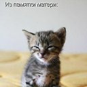 ���� �����, ������ �����, 50 ��� - ��������� 4 ������� 2009 � ������ ��������� ��������