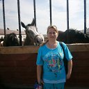  ,  , 46  -  29  2013    