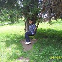  , , 35  -  5  2013    