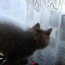 ���� �����, ������, 59 ��� - ��������� 15 �������� 2012 � ������ ���������� ������