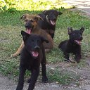 ���� ���������, ���� - ��������� 11 ������� 2012 � ������ �������