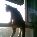 ���� ������, ������, 50 ��� - ��������� 19 ������ 2012 � ������ ���� ����������