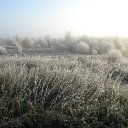 ���� �������, �������, 57 ��� - ��������� 16 ������ 2012 � ������ ����� ������� �����