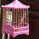 ���� �����, �����, 53 ���� - ��������� 27 ���� 2011 � ������ ������