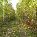 ���� ������, �����-���������, 58 ��� - ��������� 12 �������� 2011