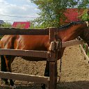 ���� ������ ���������, ������, 47 ��� - ��������� 13 ������ 2013