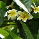 ���� ����� - ���������� ��������!!!, �����������, 56 ��� - ��������� 15 ������ 2010 � ������ �������� ��� ���� :-)))�