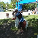 ���� ������� �������� �����������, ��������� - ��������� 3 ���� 2013 � ������ ���� ����������