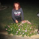 ���� �����, �����-��������� - ��������� 7 ������ 2013 � ������ ���� ����������