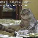 ���� ��������, ������ - ��������� 27 �������� 2010 � ������ ���������!!!�