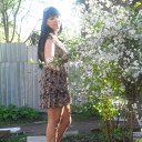 ���� ��������, ������ - ��������� 8 ��� 2013 � ������ ���� ����������