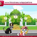  , , 69  -  17  2010   PetLove