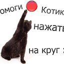 ���� ������, ������������ - ��������� 22 ������� 2012 � ������ ���������