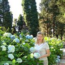 ���� �������, ����������, 61 ��� - ��������� 4 ���� 2013 � ������ ���� ����������