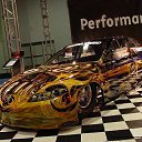 ���� �������, ��������, 33 ���� - ��������� 7 ������ 2010 � ������ ������ ������ ����� � ����