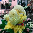  , -, 59  -  12  2012     , ( )