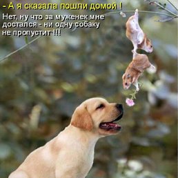 ���� Red, ������� - ��������� 18 ������ 2011