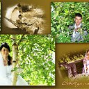  , , 66  -  22  2011     ( )