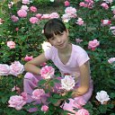  , -, 62  -  2  2009        .....