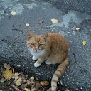 ���� �����, ������ ��������, 45 ��� - ��������� 19 ������� 2012