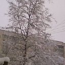  Serzh Van Der Maaremaan,  -  1  2009    