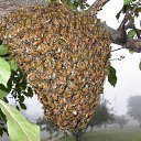 ������ ������� �����! �� ������� ���� ����������