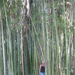 ���� Passion, ��������, 40 ��� - ��������� 26 ��� 2011